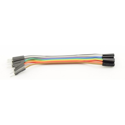 10 x Dupont wires male-female 10cm